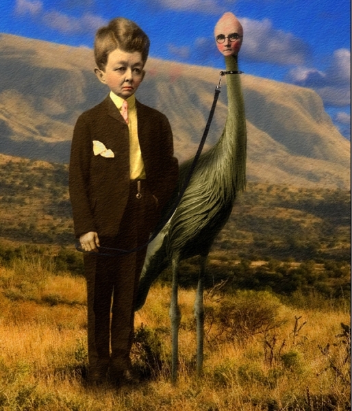 Photograph Chet Morrison A Man And His Bird on One Eyeland